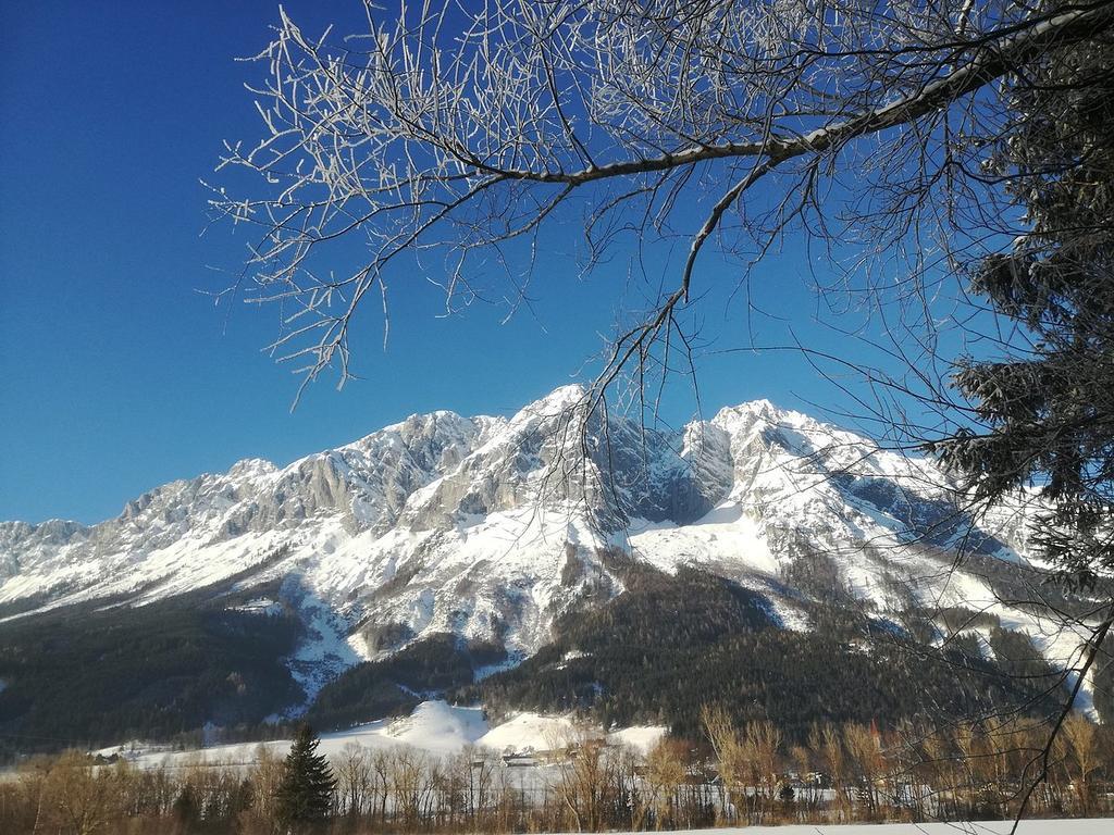 Pichler